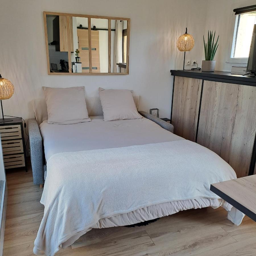 Studio Climatise Cosy Avec Grande Piscine Chauffee Agde Exterior photo